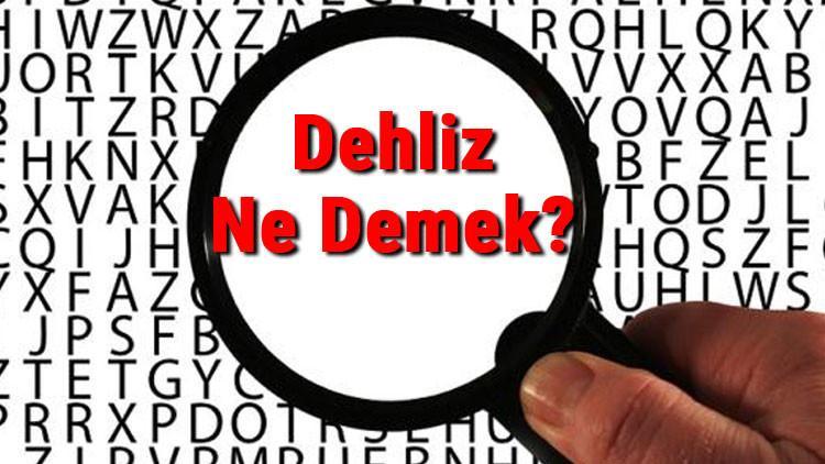 Dehliz Ne Demek? Dehliz Nedir? Dehliz Tdk Kelime Anlamı