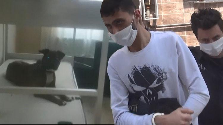 Esenyurt'ta 'köpeğine işkence' operasyonu