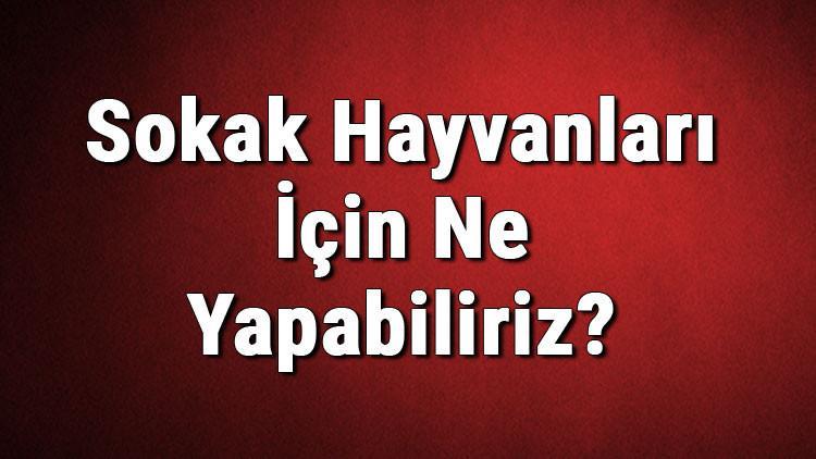 Sokak Hayvanları İçin Ne Yapabiliriz?