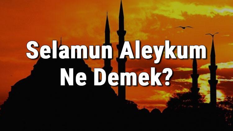 Selamun Aleykum Ne Demek? Selamun Aleykum Türkçe Anlamı