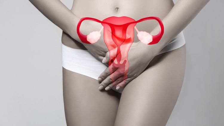 Kadınlar üreme sistemi organlarını tanıyor ve biliyorlar mı?