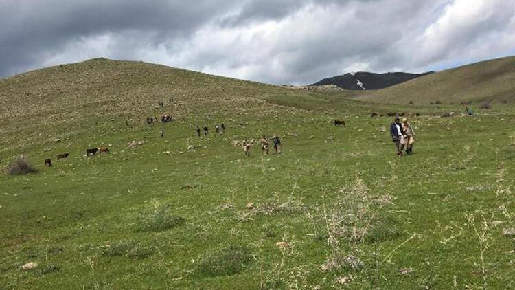 Patnos'ta hayvan otlatan çobana yıldırım çarptı  