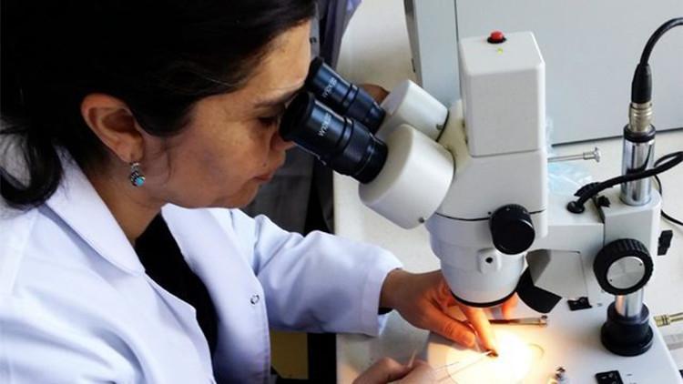 Prof. Dr. Silici: 'Propolisin bağışıklık sistemi üzerinde uyarıcı ve düzenleyici etkisi var'