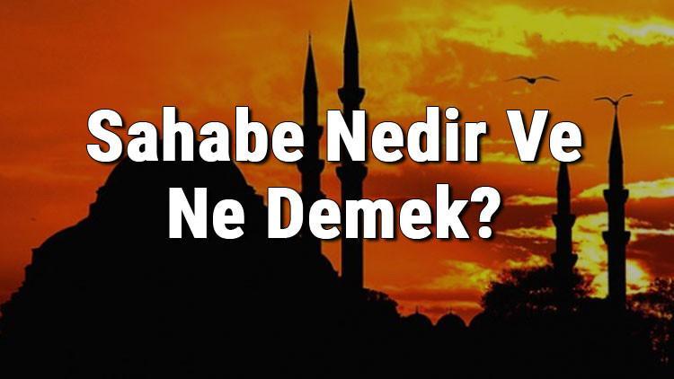 sahabe nedir ve ne demek sahabe kime denir ramazan haberleri sahabe nedir ve ne demek sahabe kime denir ramazan haberleri