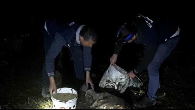 Van'da ele geçirildi! 350 metrelik ağ ile 50 kilo inci kefali...