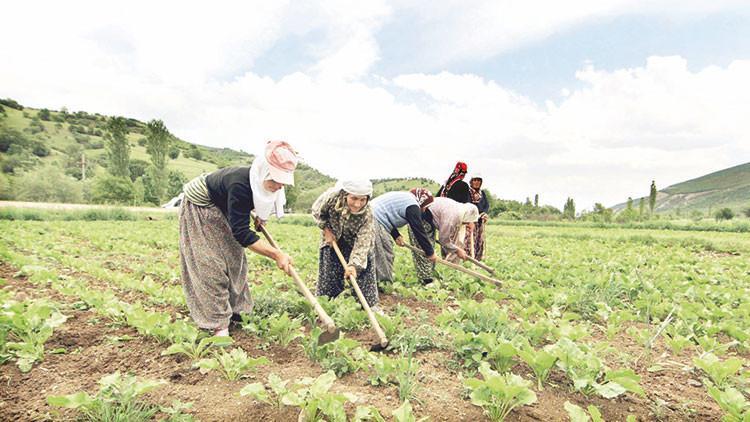Çiftçiye tedarik desteği