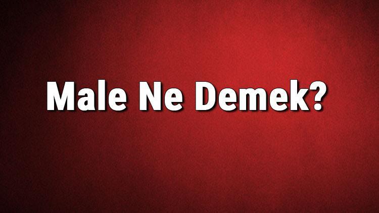 Male Ne Demek? Male Kelimesinin Türkçe Anlamı Nedir?