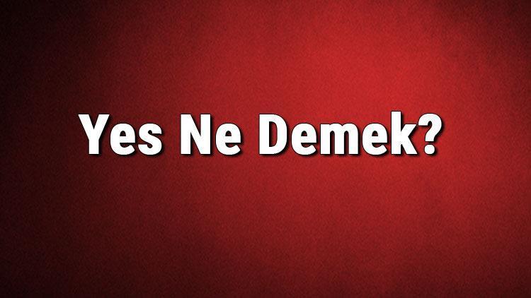 yes-ne-demek-yes-kelimesinin-t-rk-e-anlam-nedir-haberler