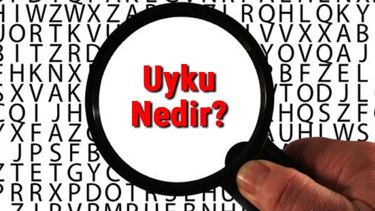 uyku nedir uyku evreleri nelerdir son dakika flas haberler uyku nedir uyku evreleri nelerdir son dakika flas haberler
