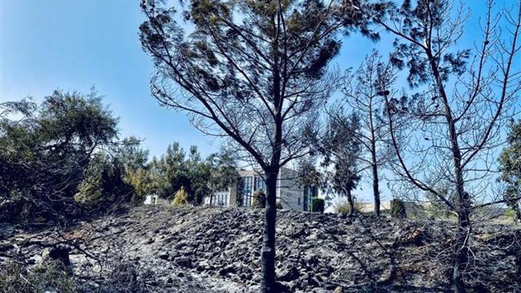 KKTC’de çıkan yangınlarla ilgili bir kişi gözaltına alındı