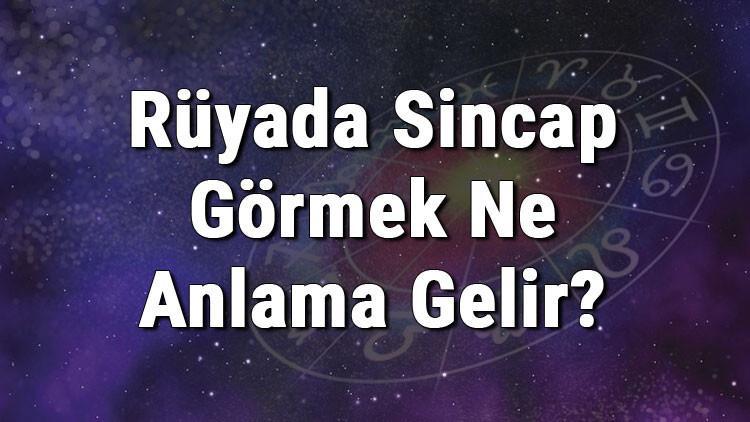 ruyada sincap gormek ne anlama gelir ruyada sincap beslemek ve yakalamak tabiri mahmure