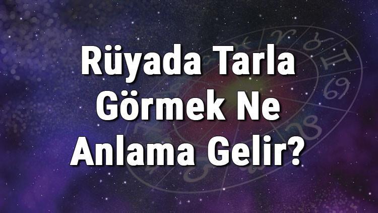 Rüyada Tarla Görmek Ne Anlama Gelir? Rüyada Tarla Sürmek Ve Sulamak Tabiri