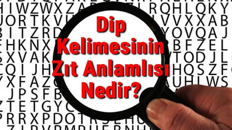 Dip Kelimesinin Zıt Anlamlısı Nedir? Dipin Zıt Anlamlısı