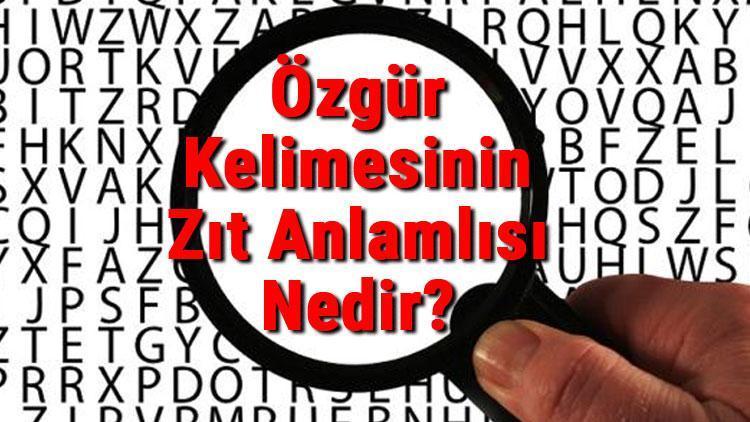 Özgür Kelimesinin Zıt Anlamlısı Nedir? Özgürün Zıt Anlamlısı - Son