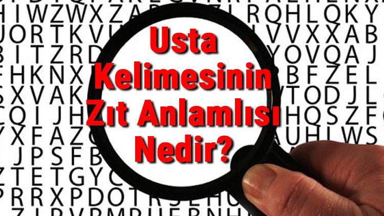 Usta Kelimesinin Zıt Anlamlısı Nedir? Ustanın Zıt Anlamlısı
