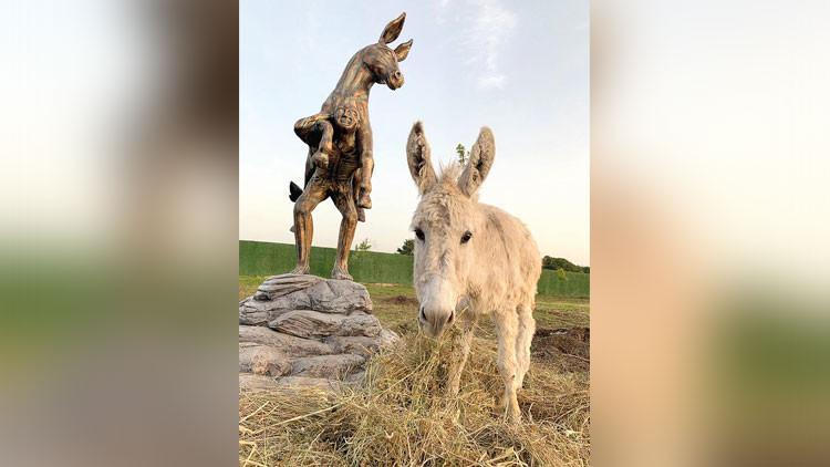 Artık güvende ve mutlu yaşayacaklar