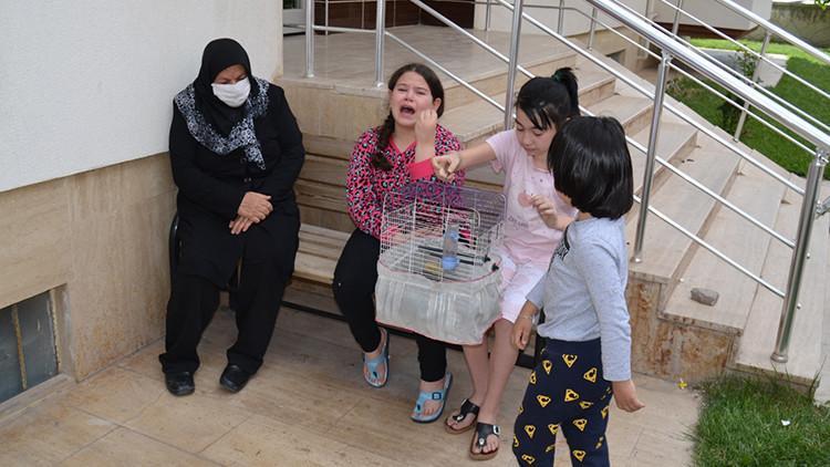Yangın çıkan evlerinde muhabbet kuşu ölen Ekin'in gözyaşları