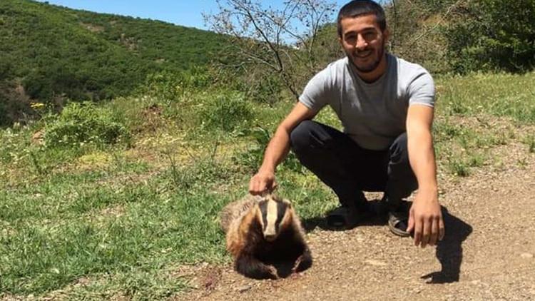 Bingöl'de nesli tükenme tehlikesi altındaki porsuklar görüntülendi