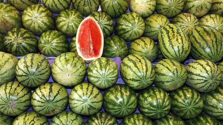Adana'da karpuzdan 800 bin ton rekolte beklentisi