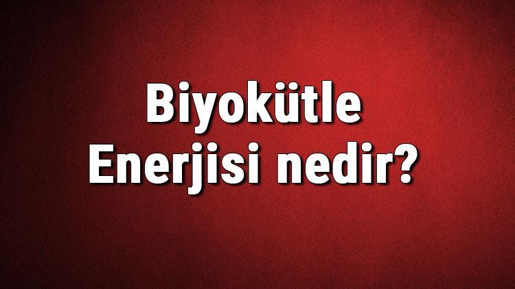 Biyokütle Enerjisi nedir? Kullanım alanları nelerdir? Biyokütle enerjisinden elektrik üretimi hakkında bilgi