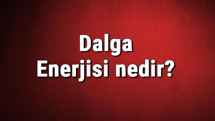 Dalga Enerjisi nedir? Kullanım alanları nelerdir? Dalga enerjisinden elektrik üretimi hakkında bilgi