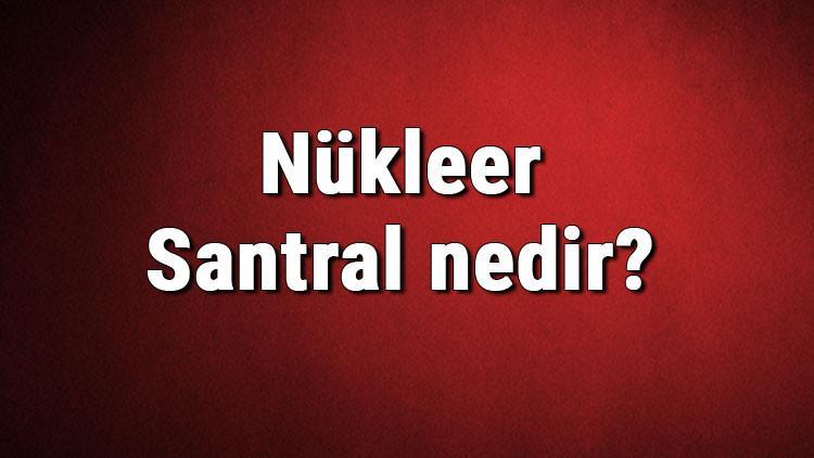 Nükleer Santral nedir? Nükleer enerji santrali nasıl kurulur? Nükleer Santral türleri, zararları ve faydaları