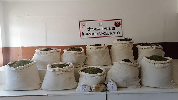 Diyarbakır'da 2 milyon 452 bin kök Hint keneviri ele geçirildi