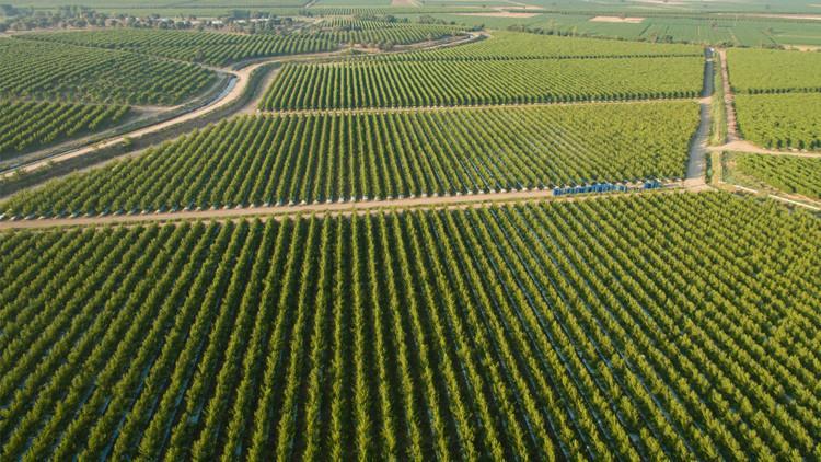Anadolu Etap'a 60 milyon euro kredi