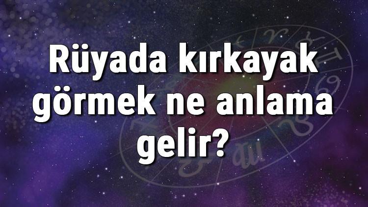 Rüyada kırkayak görmek ne anlama gelir? Rüyada kırkayak sokması ve kovalaması anlamı