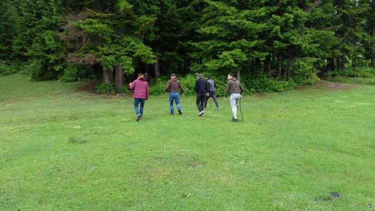 Karadeniz'de sayıları arttı, bölge halkı tedirgin! Değnekle dolaşıyorlar