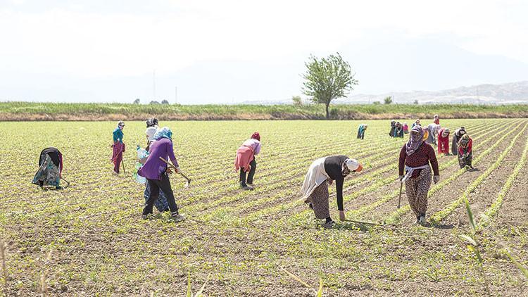 Tarım işçilerine ‘izin’ şartı geldi