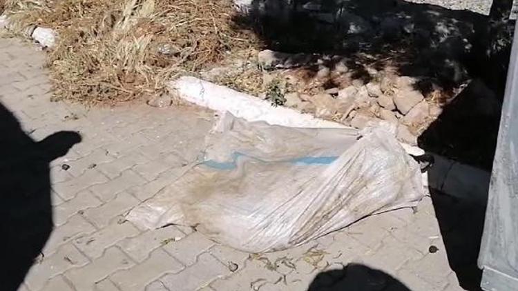 Vicdansızlık! Bacakları bağlanan koç, çöp konteynerinde ölüme terk edildi