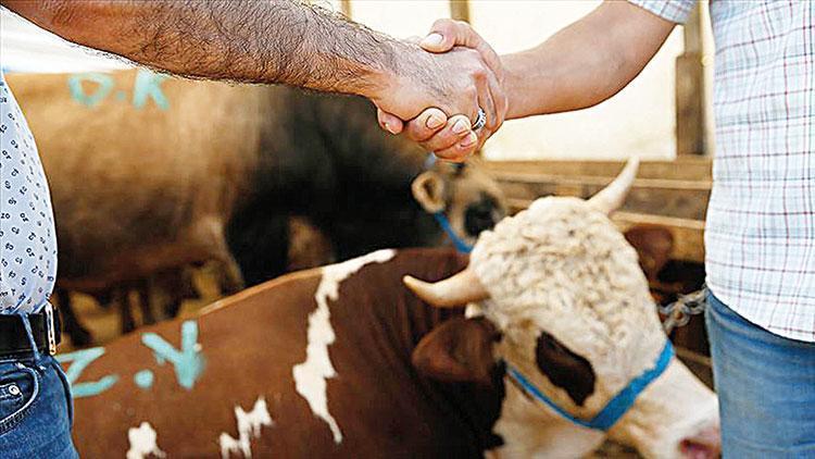 Kurbanda tokalaşmalı pazarlık yasaklandı