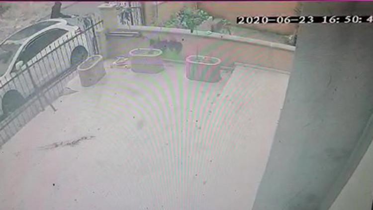 Sokak ortasında avukata silahlı saldırı kamerada
