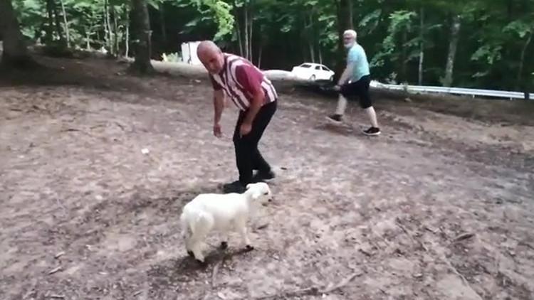 Annesinin dışladığı kuzuyu sahiplendi