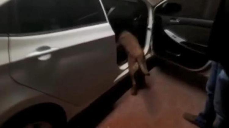 Bursa'da uyuşturucu operasyonu: 2 İran uyrukluya gözaltı