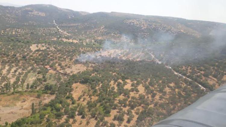 Çanakkale'de zeytinlik yangınında 5 dönüm alan zarar gördü