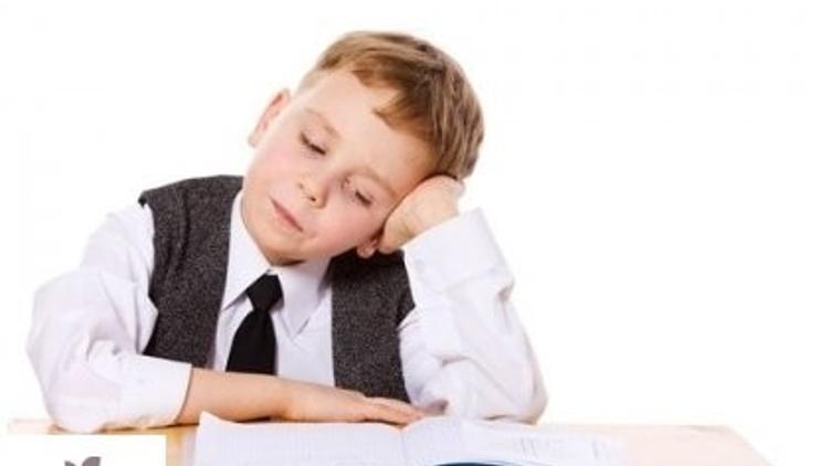 Verimli Ders Nasıl Çalışılır?