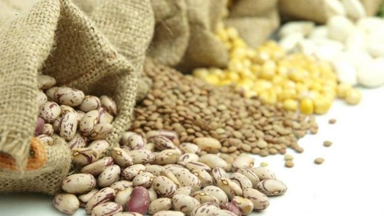 Baklagiller sağlık aşılıyor