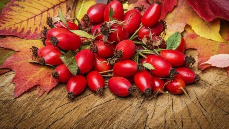 Işıl ışıl bir cilt için kuşburnu
