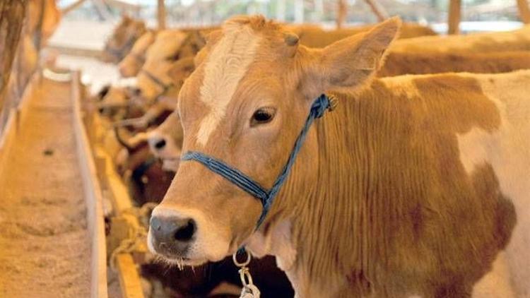 Kurban Bayramı'nda marketler de iş başında