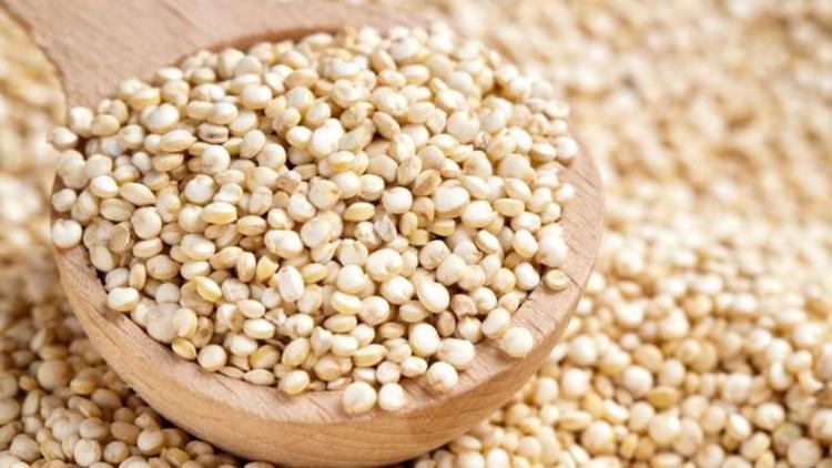 Et kadar protein içeriyor