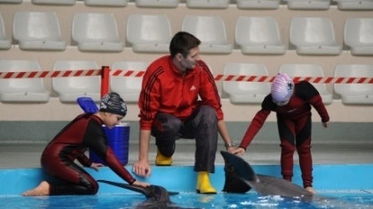 Miniklerin Yeni Dostları Yunuslar