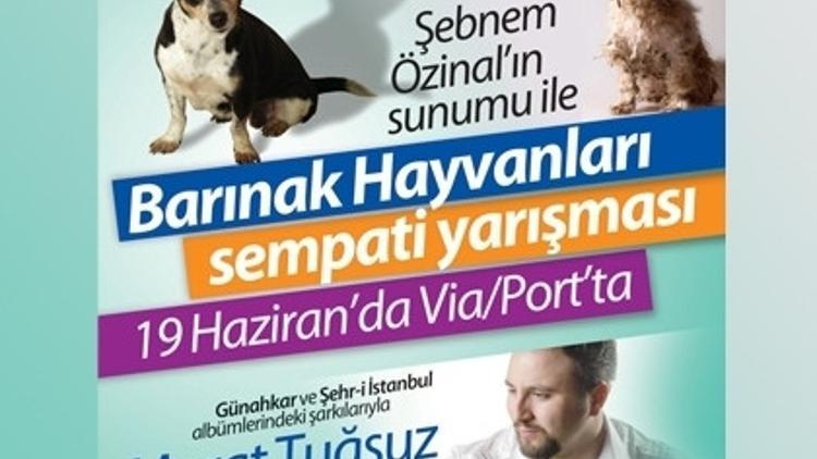 Sevimli Dostlar Podyumda