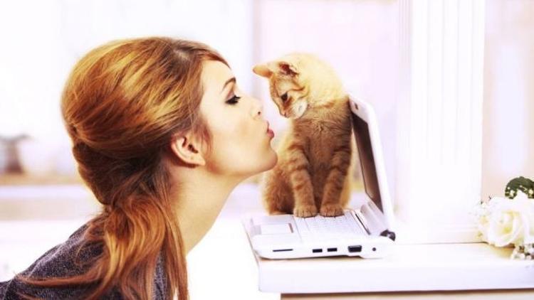 Kedi alerjisi artık sona erecek