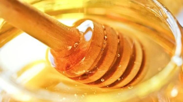 Dirençli bakteriler bu bala karşı koyamayacak