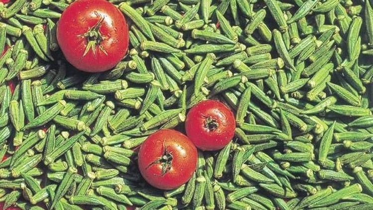 Kilo kaybına yardımcı oluyor