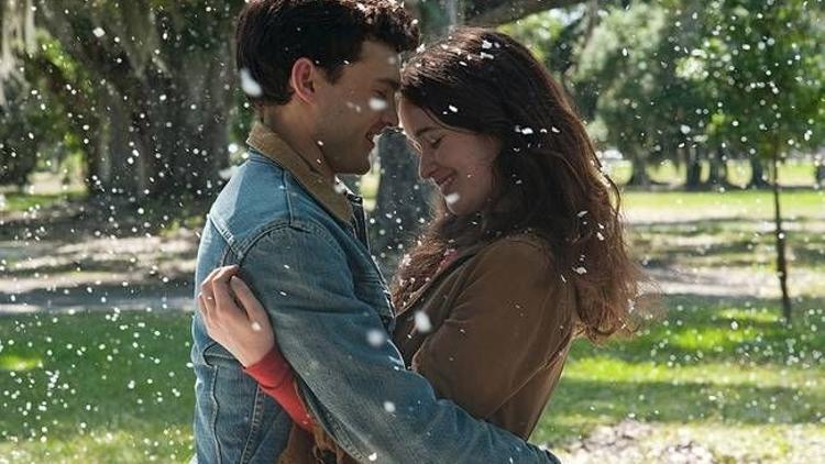 Gizemli bir hikaye: ''Muhteşem Yaratıklar''