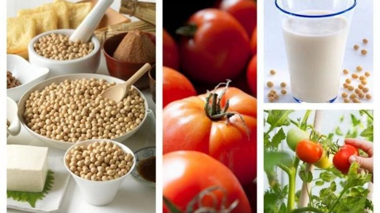 Soya ve domatesin mucize etkisi