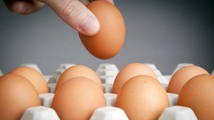 En ucuz ve kaliteli protein kaynağı